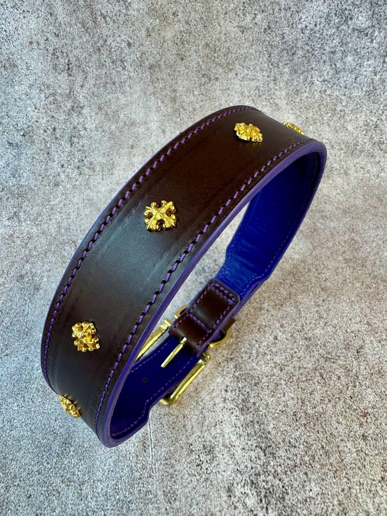 May include: A dark brown leather collar featuring a vibrant purple interior lining and purple stitching along the edges. The exterior is decorated with evenly spaced gold-toned metal cross-shaped studs and includes a gold-toned metal buckle closure.