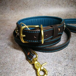 Pu&ograve; includere: Un collare per cani in pelle marrone e un set guinzaglio abbinato. Il collare ha un interno blu turchese e cuciture turchesi. Il set presenta elementi metallici color oro.