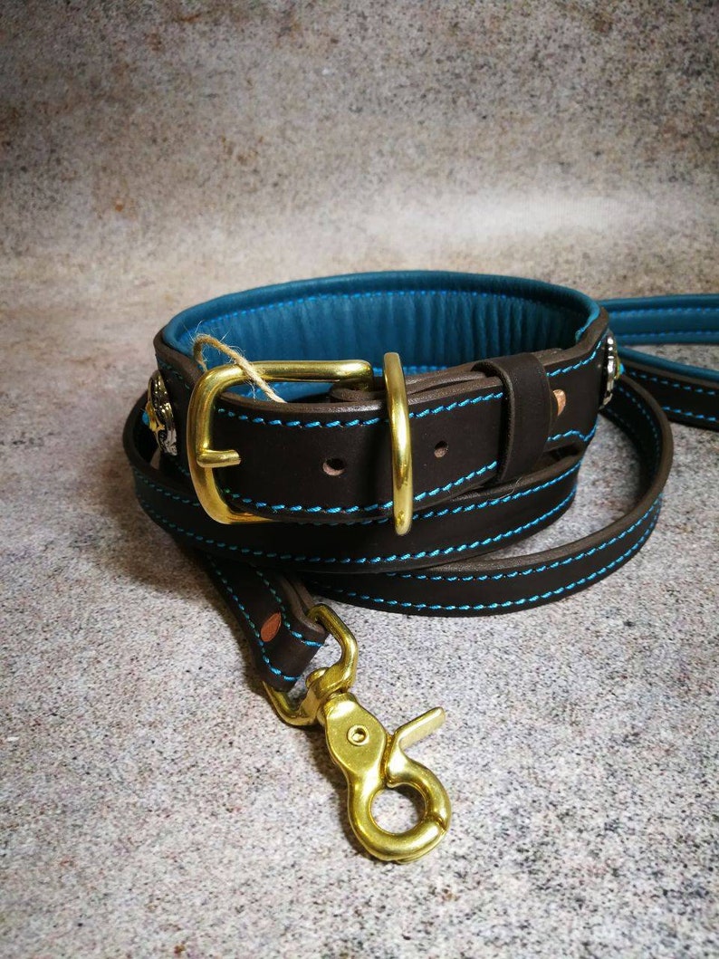 Pu&ograve; includere: Un collare per cani in pelle marrone e un set guinzaglio abbinato. Il collare ha un interno blu turchese e cuciture turchesi. Il set presenta elementi metallici color oro.
