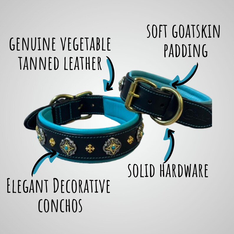 Pu&ograve; includere: Due collari per cani in pelle nera con fodera blu turchese e conchos decorativi. I collari sono dotati di hardware solido e sono realizzati in vera pelle conciata al vegetale e imbottitura in morbida pelle di capra. Il testo sull'immagine mostra i materiali.