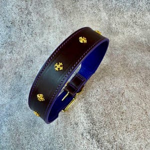 May include: A dark brown leather collar featuring a vibrant purple interior lining and gold-toned metal cross-shaped studs along the outer band. The collar includes a gold-toned metal buckle and a matching loop for secure fastening and adjustment.