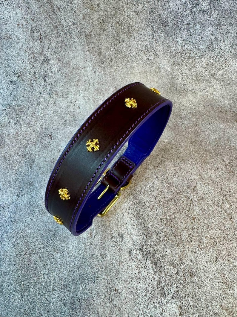 May include: A dark brown leather collar featuring a vibrant purple interior lining and gold-toned metal cross-shaped studs along the outer band. The collar includes a gold-toned metal buckle and a matching loop for secure fastening and adjustment.