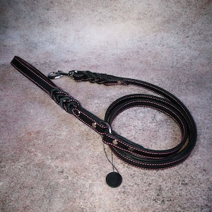Braided Ends Leather Dog Leash with Ring on Handle