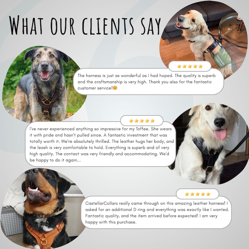May include: Image showcasing dogs wearing leather harnesses. The image includes customer testimonials with phrases like "fantastic quality" and "amazing leather harness". The text "WHAT OUR CLIENTS SAY" is at the top.