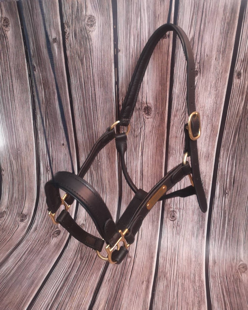 Custom Name Leather Horse Halter With Engraved Golden Etsy