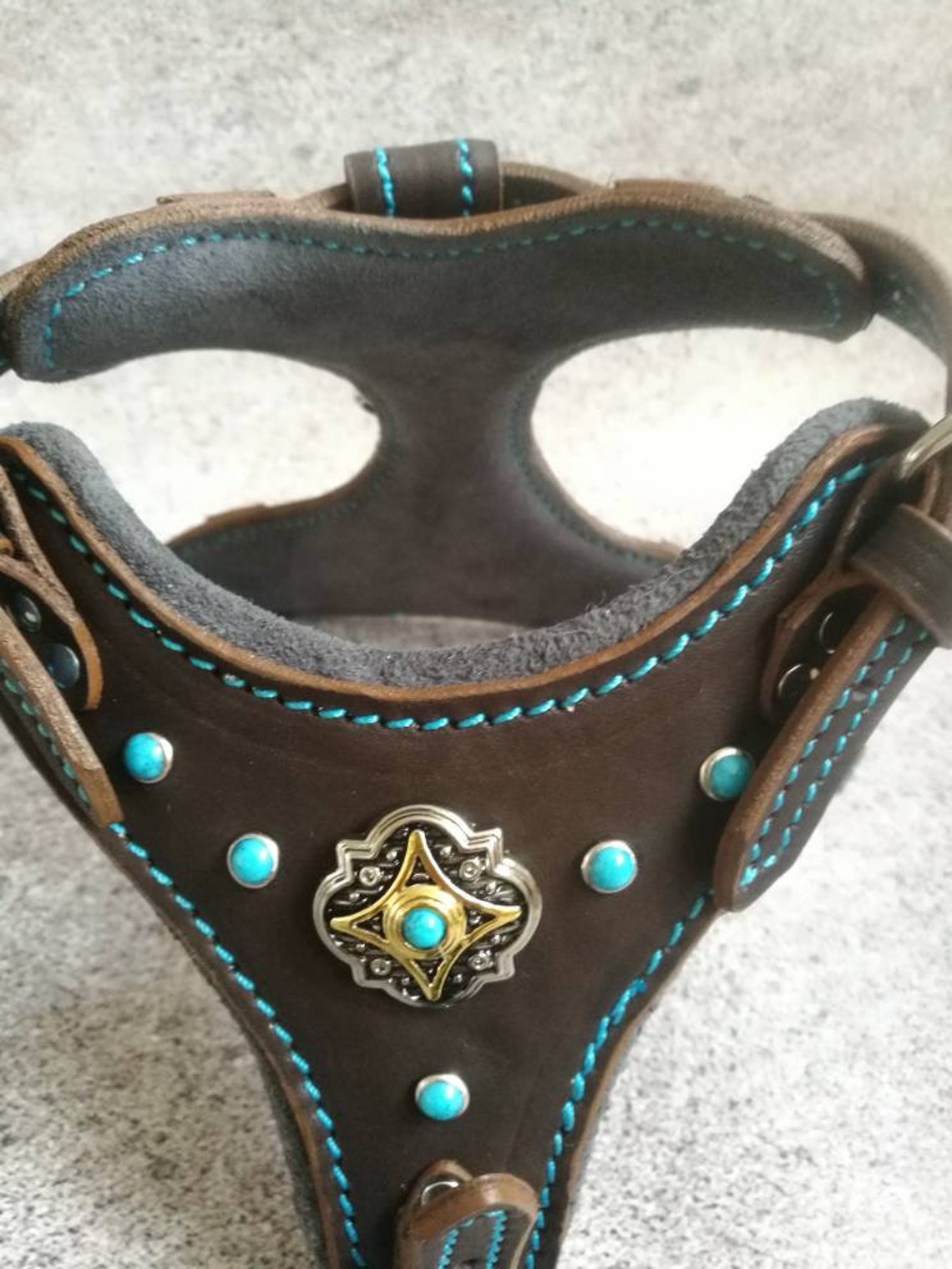 Leather Cat Harness Walking Cat Harness Luxury Cat Harness Etsy