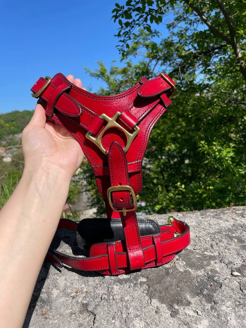 Pode incluir: Uma coleira para c&atilde;es de couro vermelho com ferragens met&aacute;licas douradas. A coleira possui tiras e fivelas ajust&aacute;veis. O design inclui uma placa peitoral e tiras traseiras, adequada para c&atilde;es de porte m&eacute;dio a grande.