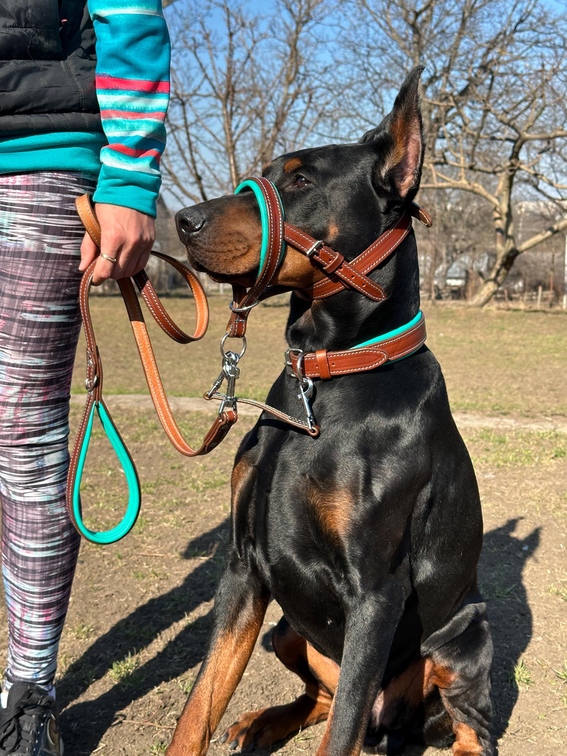 Dog headcollar, best head halter for dogs stop pulling, leather dog leash, dog nose face harness leather gentle padded, large dog no pull