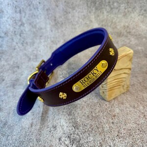 May include: A dark brown collar with a vibrant purple interior lining, featuring gold-toned hardware and decorative studs. A gold-toned nameplate is riveted to the center, engraved with the name ROCKY and the phone number 914.628.9313 in black text.