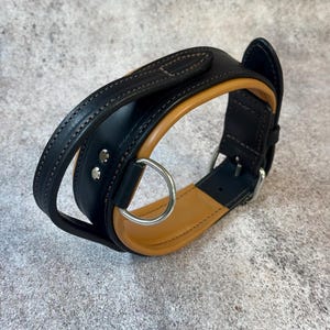 May include: Black and tan leather dog collar with a silver metal ring and buckle. The collar has a padded interior and a stitched design. The dog collar is designed for comfort and durability.