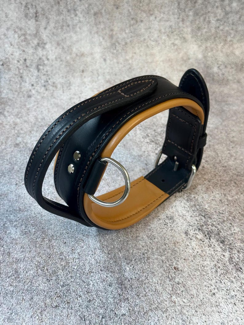 May include: Black and tan leather dog collar with a silver metal ring and buckle. The collar has a padded interior and a stitched design. The dog collar is designed for comfort and durability.