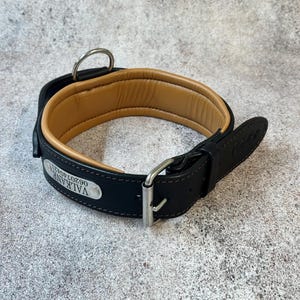 May include: A black leather dog collar with a tan padded interior. The collar features a silver metal buckle and a D-ring for leash attachment. A small silver tag with the name "VALKANE" and a phone number is attached to the collar.