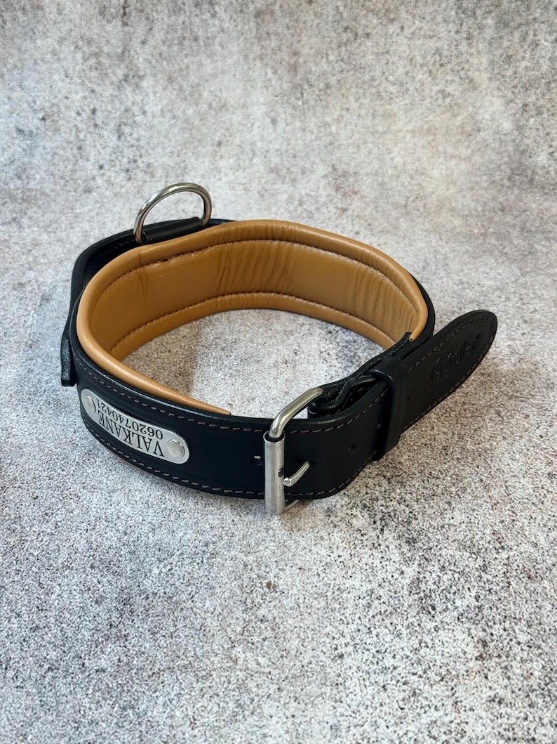 May include: A black leather dog collar with a tan padded interior. The collar features a silver metal buckle and a D-ring for leash attachment. A small silver tag with the name "VALKANE" and a phone number is attached to the collar.