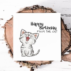 Joyeux anniversaire de la part du chat ! Jolie carte d'anniversaire de chat blanc pour elle - adorables voeux félins