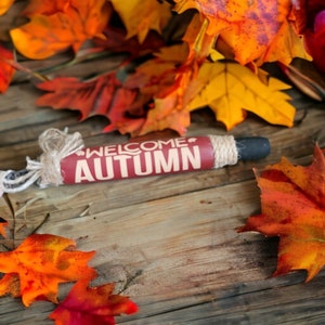 May include: A rustic wooden sign with the words "WELCOME AUTUMN" in white lettering, surrounded by colorful fall leaves in shades of red, orange, and yellow. The sign is tied with twine.