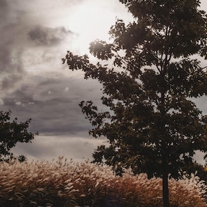 Autumn sky