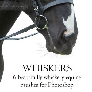 BRUSHES - Whisker brush set 1