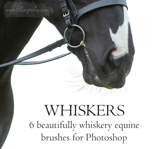 BRUSHES Whisker Brush Set 1 Etsy
