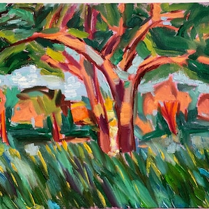 California Groves, orginal oil painting, stretched canvas 9 x 12&quot; (Gold leaf plein art frame is optional)