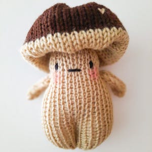 May include: A brown and beige knitted mushroom toy with a cute face. The mushroom has a brown cap and a beige body with a small, stitched-on face.