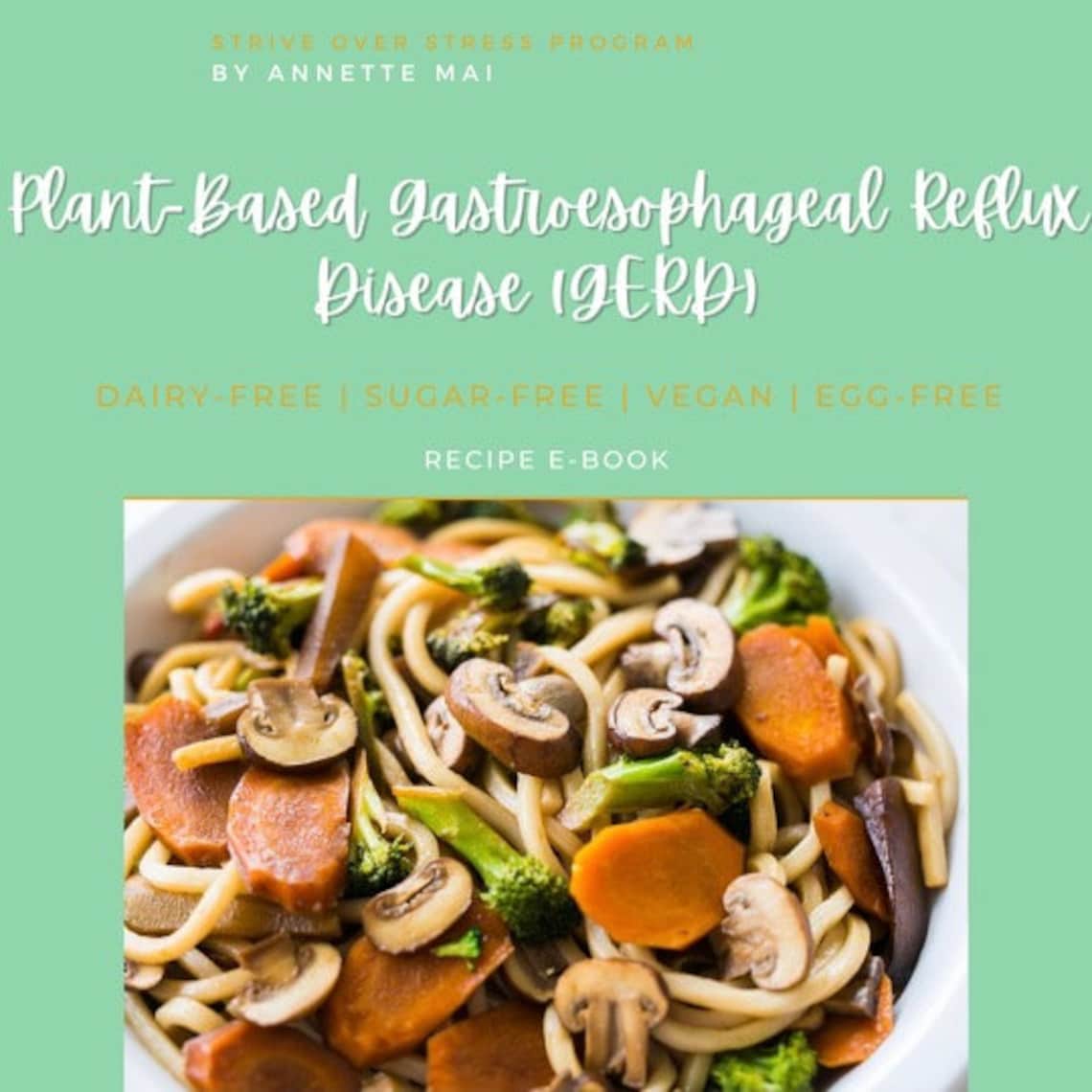 Meal Plan for GERD GERD Diet Meal Plan Dairy Free sugar Etsy UK