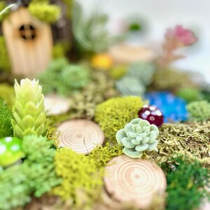 Puede incluir: Una escena de jard&iacute;n de hadas en miniatura con una peque&ntilde;a casa de madera, musgo verde y una variedad de plantas peque&ntilde;as, incluyendo una suculenta.