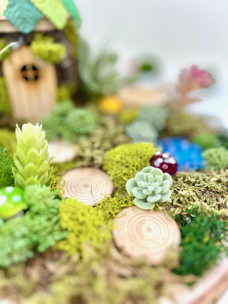 Puede incluir: Una escena de jard&iacute;n de hadas en miniatura con una peque&ntilde;a casa de madera, musgo verde y una variedad de plantas peque&ntilde;as, incluyendo una suculenta.