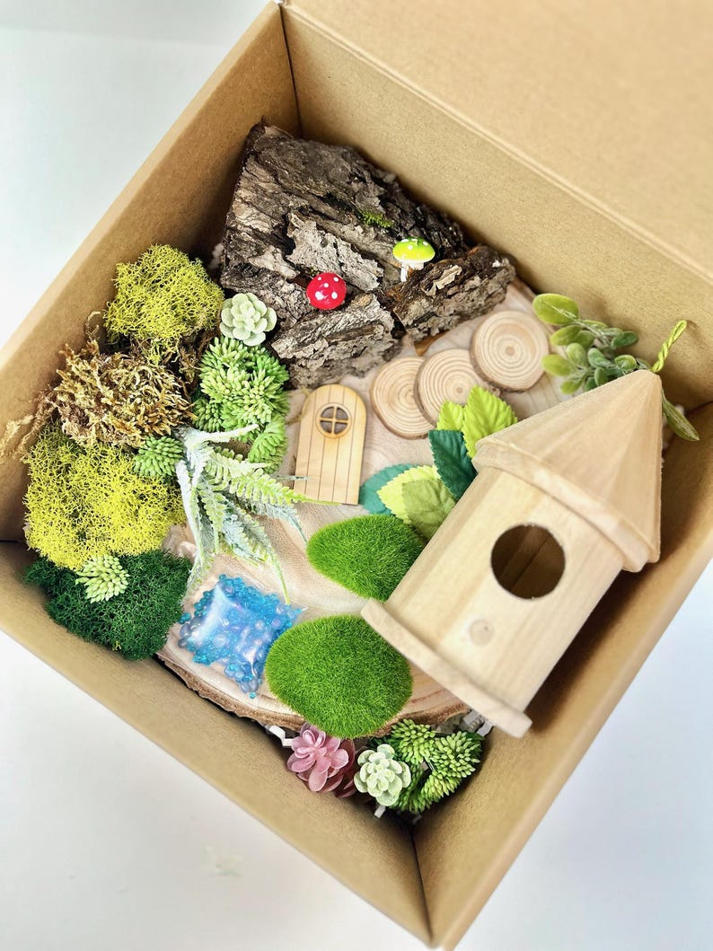Puede incluir: Una escena de jard&iacute;n de hadas en miniatura en una caja de cart&oacute;n. La escena incluye una casa de madera, una peque&ntilde;a puerta, musgo y una variedad de plantas en miniatura.