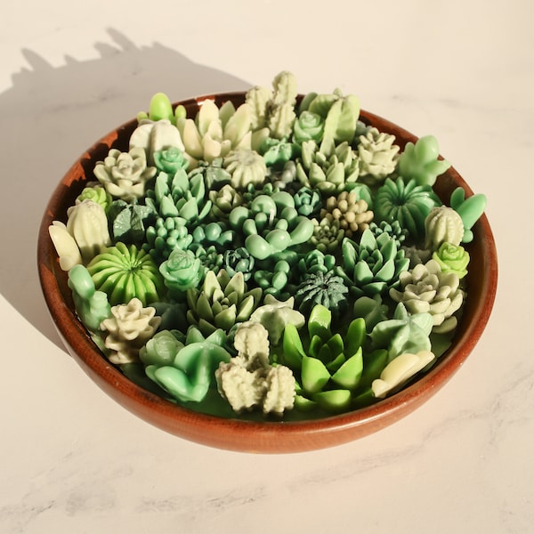 Succulent Garden Hand-Poured Candle in a Wood Bowl. Made of 100% Organic Ultrafiltered Beeswax.