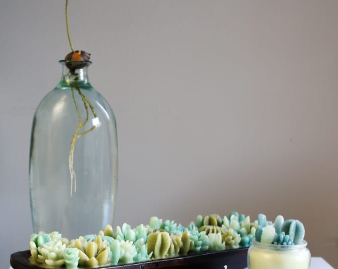 Featured listing image: Succulent Garden Hand-Poured Candle in a Long Dough Bowl. Made of 100% Organic Ultrafiltered Beeswax.