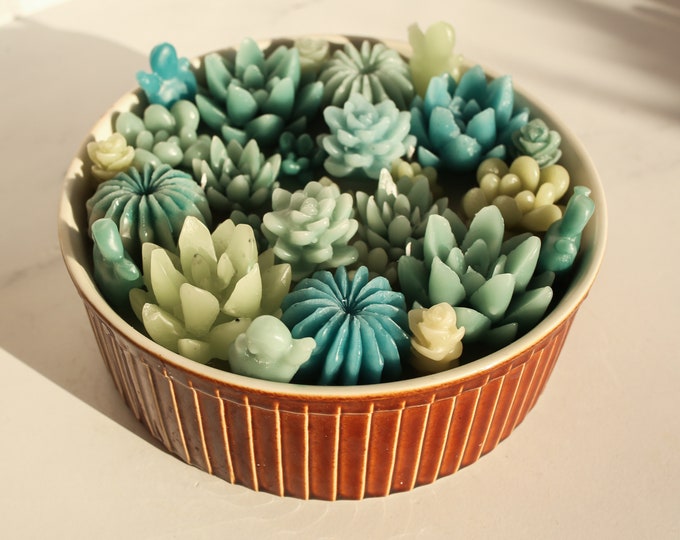 Featured listing image: Succulent Garden Hand-Poured Candle in a Ceramic/ Terracotta Bowl. Made of 100% Organic Ultrafiltered Beeswax.