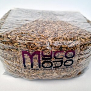 10Kg Sterilised Organic Rye Grain for mushroom grain spawn (10 x 1Kg Bags)