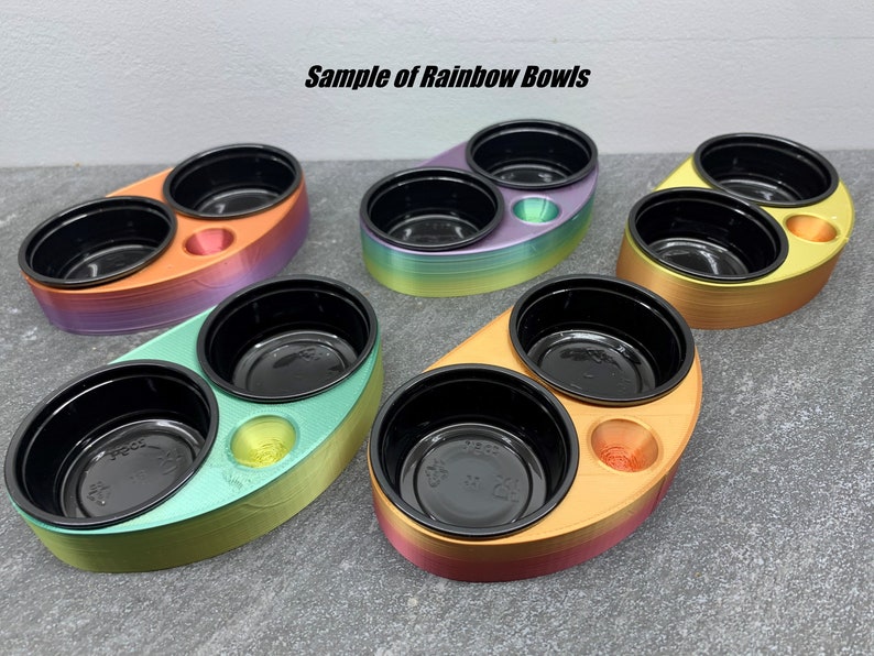 Leopard Gecko Food Bowl Etsy