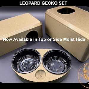 Cachette pour gecko léopard, abri humide, boîte de ponte et station d'alimentation