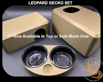 Leopardgecko Versteck, Feuchtes Versteck Legebox, und Futterstation