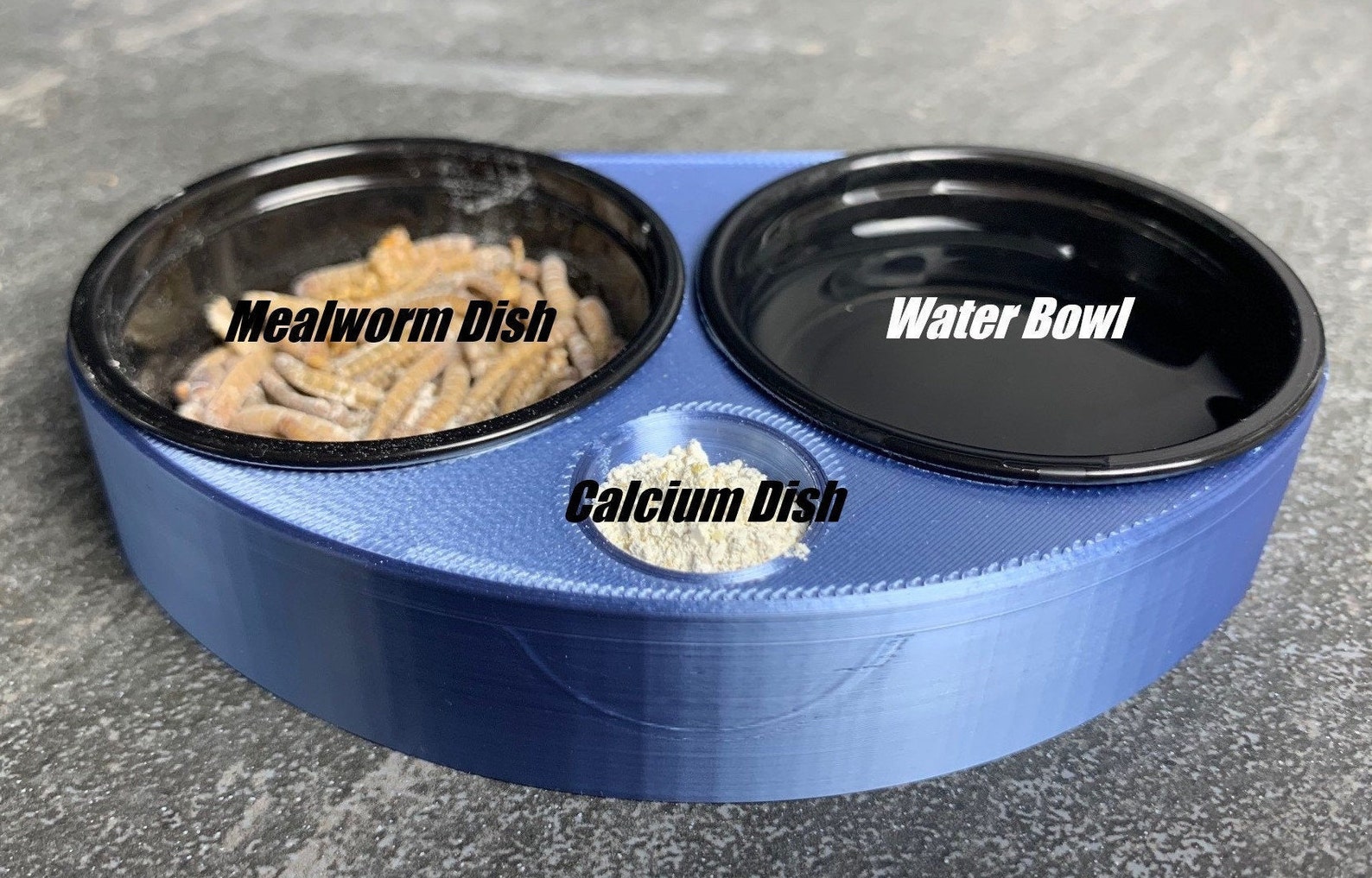 Leopard Gecko Food Bowl Etsy