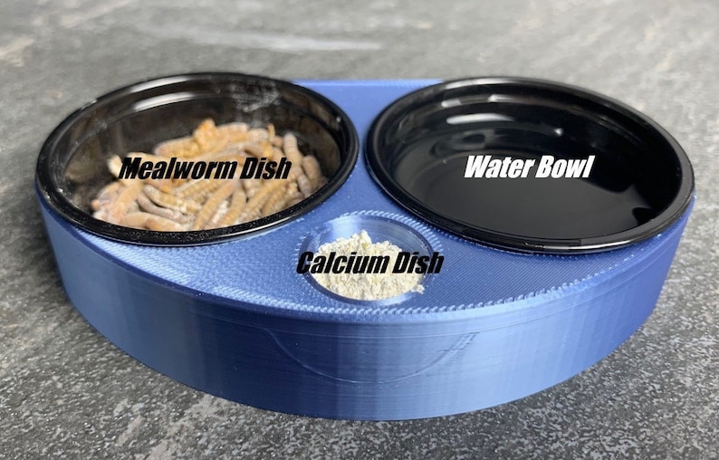 Leopard Gecko Food Bowl Etsy