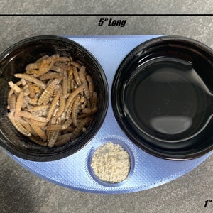 May include: A blue plastic feeding dish with three compartments. The dish is 5 inches long, 3 inches wide, and 1 inch tall. One compartment contains a brown substance, another contains a clear liquid, and the third contains a white powder.