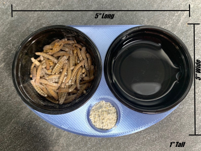 May include: A blue plastic feeding dish with three compartments. The dish is 5 inches long, 3 inches wide, and 1 inch tall. One compartment contains a brown substance, another contains a clear liquid, and the third contains a white powder.