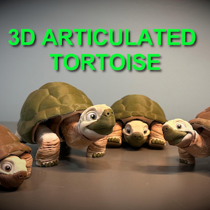 Premium Articulated Tortoise 3D Print