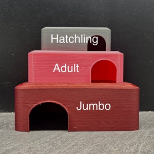 Jumbo Leopard Gecko Hide