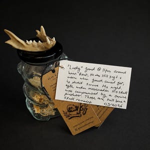 May include: A clear glass jar containing bone fragments, topped with an animal jawbone. A white rectangular tag with handwritten text detailing the origin of the remains is attached, alongside a brown card featuring a skull illustration.