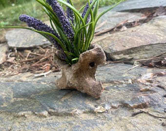 Bone Bloom Vessel | Handcrafted Deer Vertebrae Planter | Woodland Decor