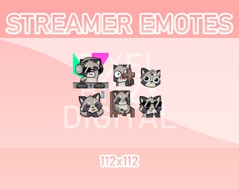 Animated Raccoon Emotes, Twitch, Discord, Kick, Set of 6 (GIF)