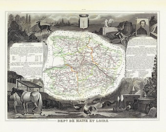 a map on thick cotton canvas about 56x70cm De La Loire 1856 Loire: Levasseur Dept
