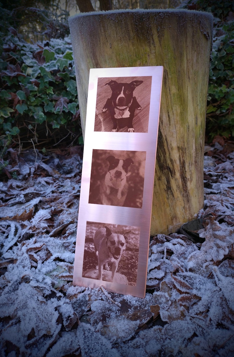 Laser Engraved Photo Conversion Copper, Steel or Brass Metal Plaque