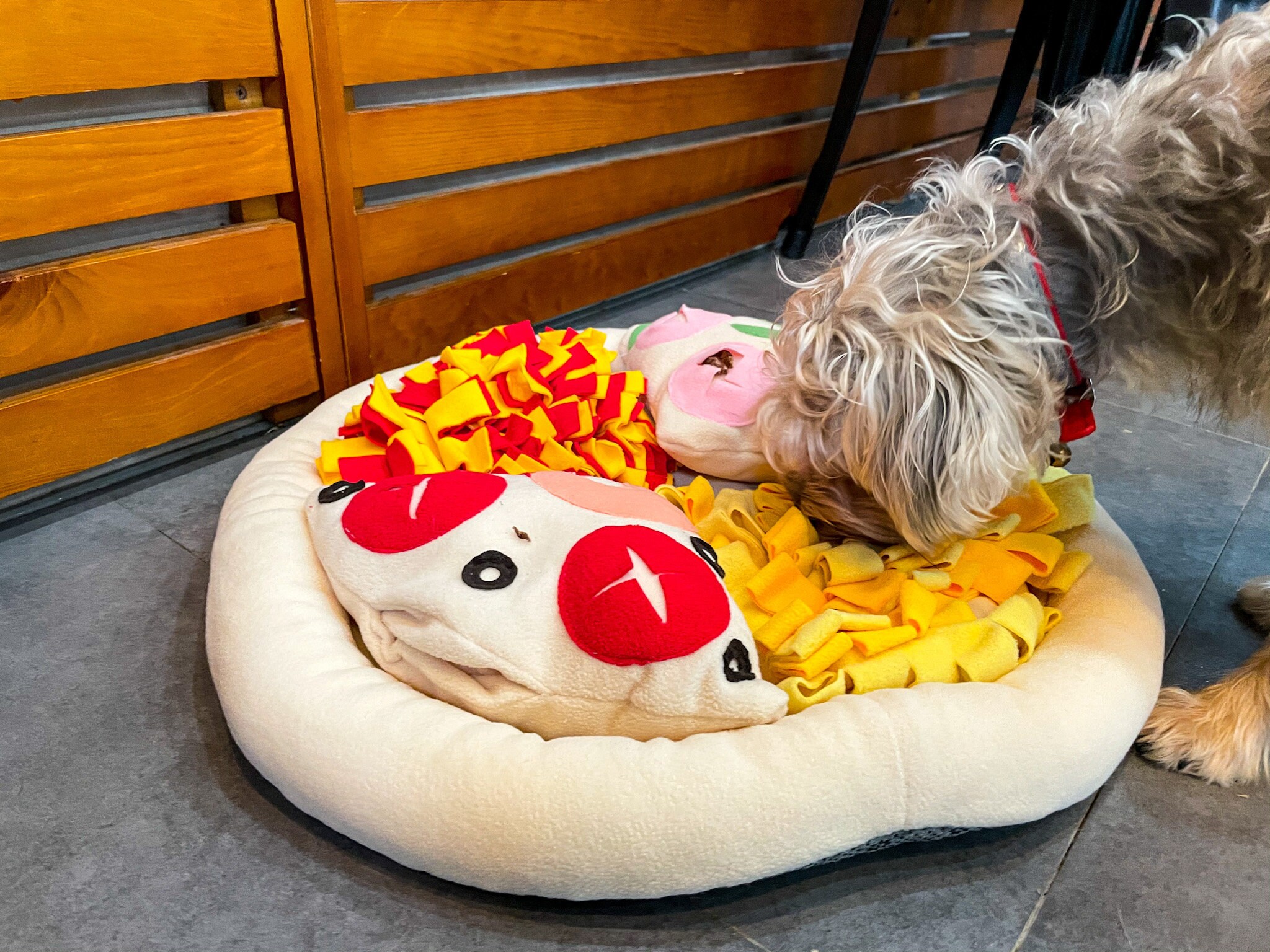 PetPatGo Pizza Snuffle Mat Best Interactive Dog Toys Dog Etsy