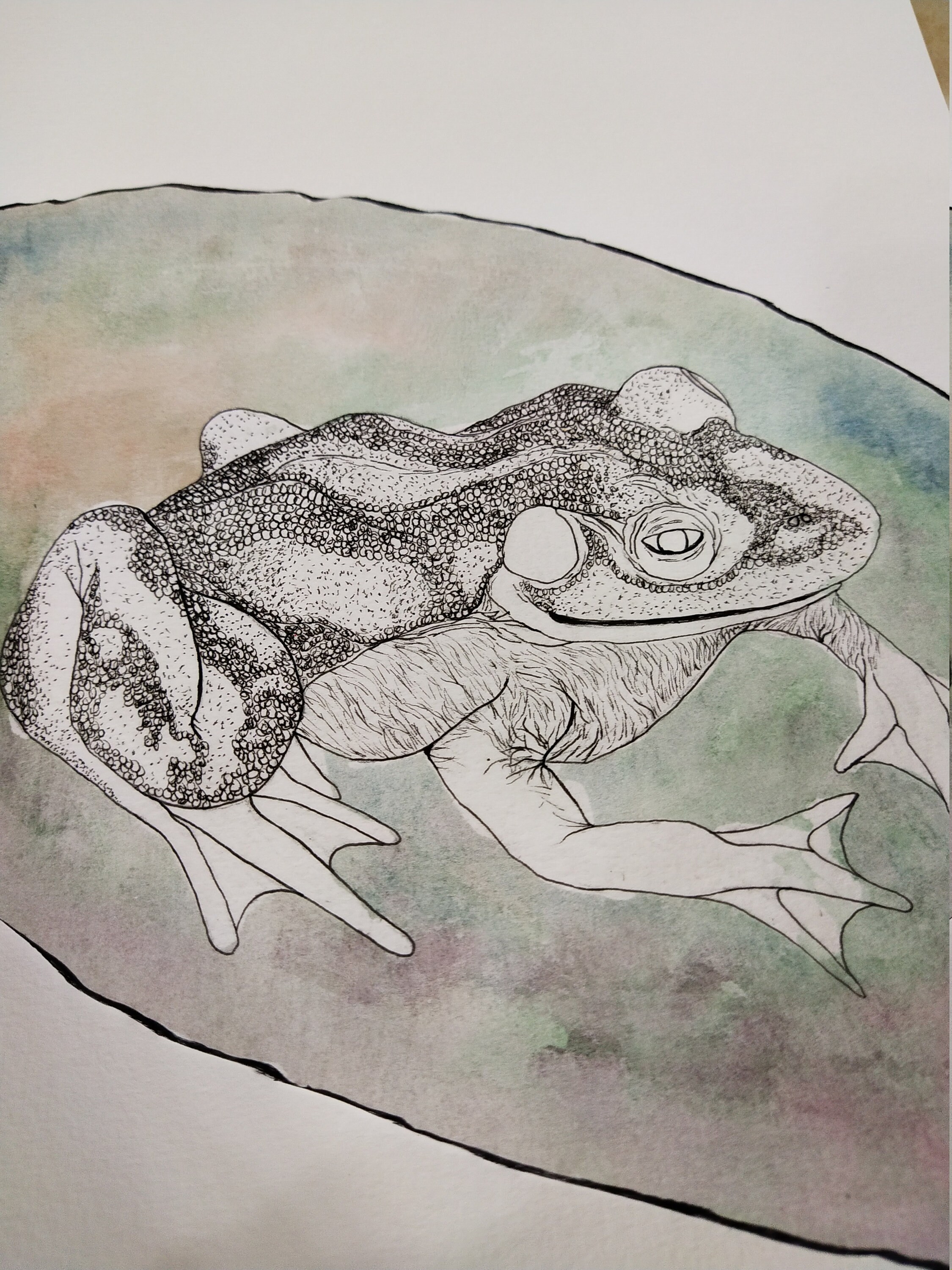 Aquarell Malerei Teich Frosch Etsy