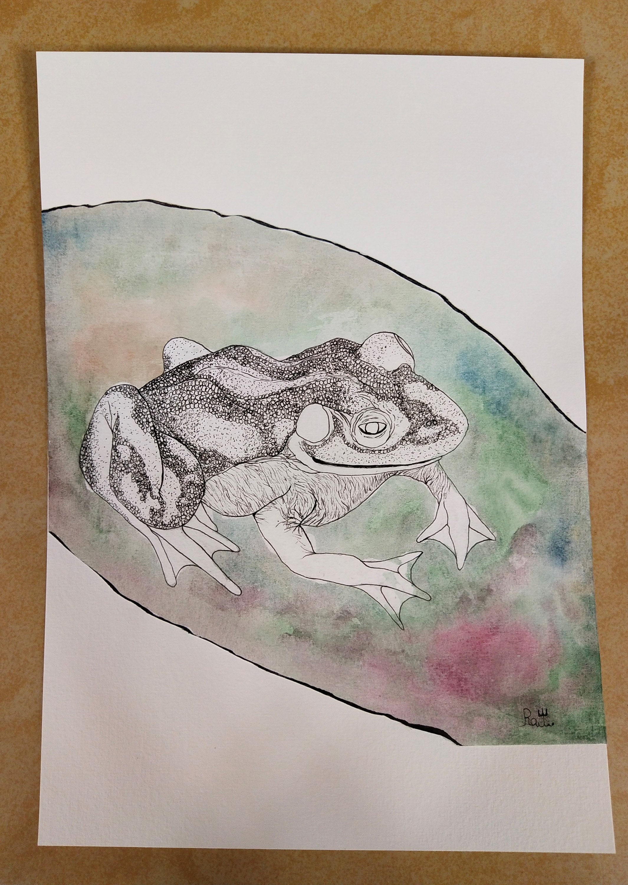Aquarell Malerei Teich Frosch Etsy