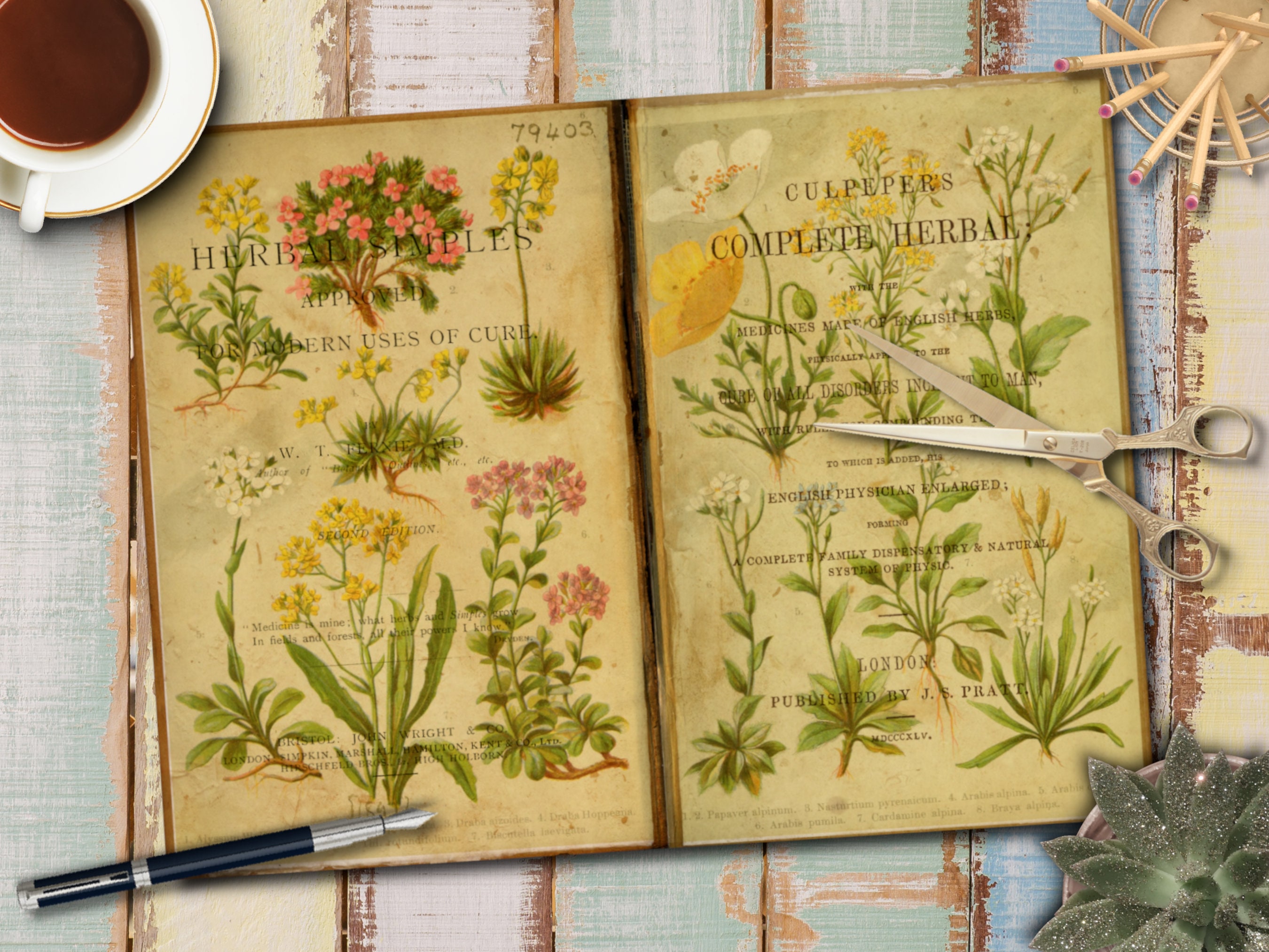 DIGITAL Antique Botanical Junk Journal Kit – Vintage Plant Prints ...